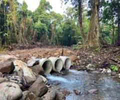 🌿 ¡Venta de Quintas en Armonía con la Naturaleza!🌿